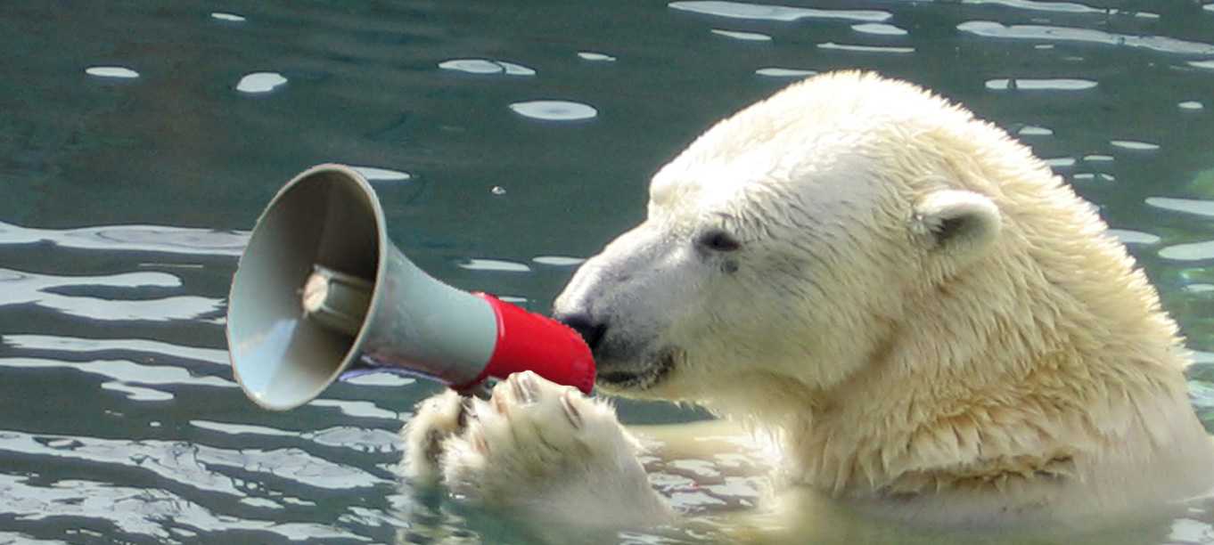 Manipulert foto av isbjørn med ropert